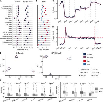 Multiomics Analysis of Neuroblastoma Cells Reveals a Diversity of Malignant Transformations